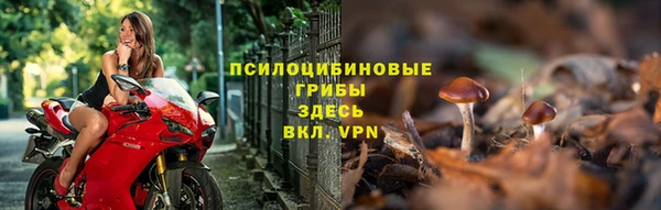 a pvp Богородицк